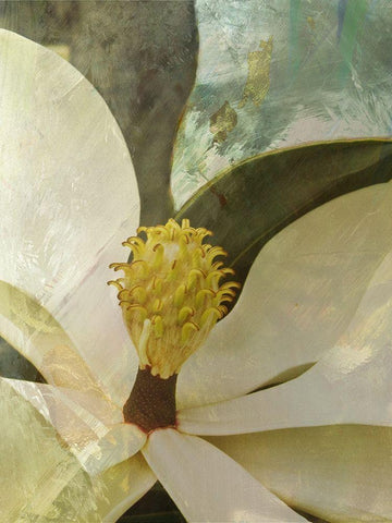 Painted Magnolia White Modern Wood Framed Art Print with Double Matting by Simons