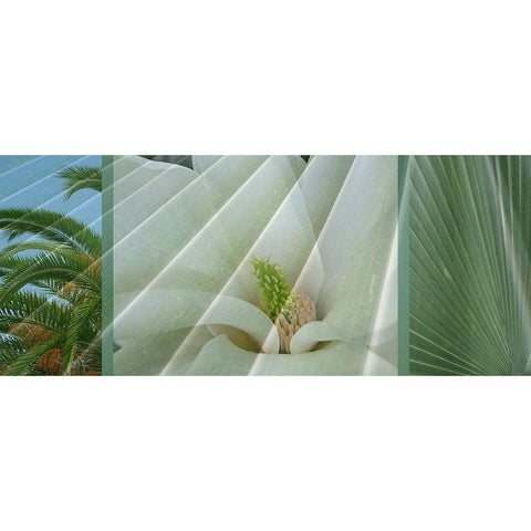 Palm Dream I White Modern Wood Framed Art Print by Simons