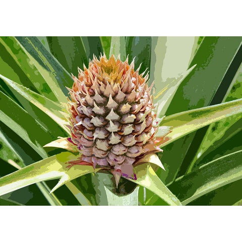 Pineapple Soon White Modern Wood Framed Art Print by Simons