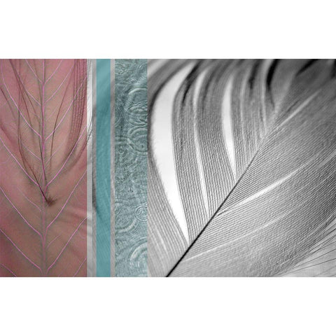 Plumage Warm II Black Modern Wood Framed Art Print with Double Matting by Simons