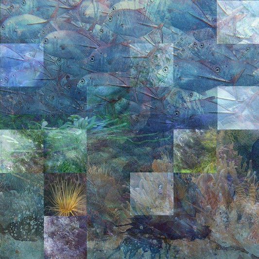 Image Only