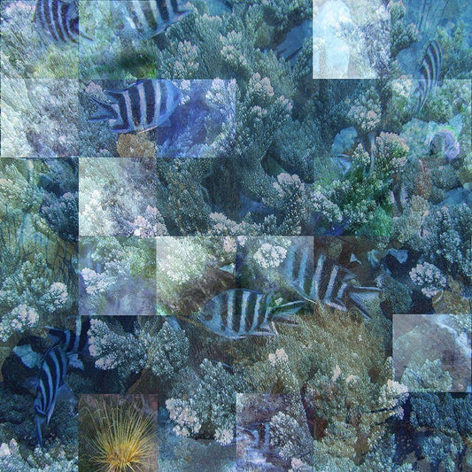Image Only
