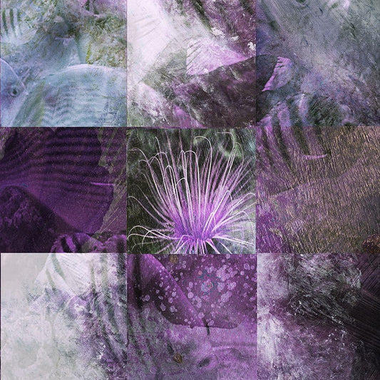 Image Only
