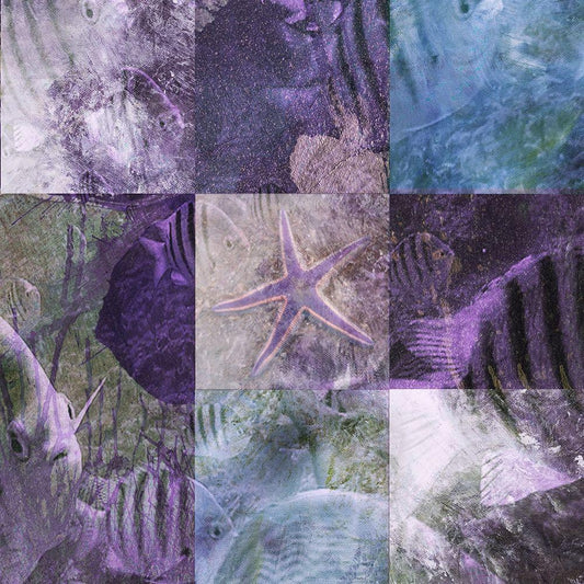 Image Only