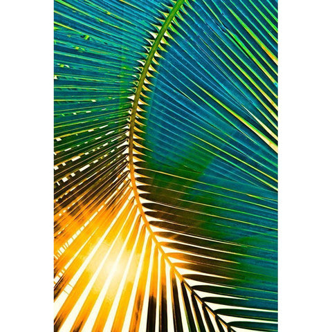 Sun Spray White Modern Wood Framed Art Print by Simons