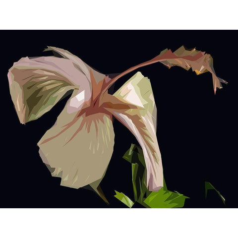 Cameo Hibiscis White Modern Wood Framed Art Print by Mack