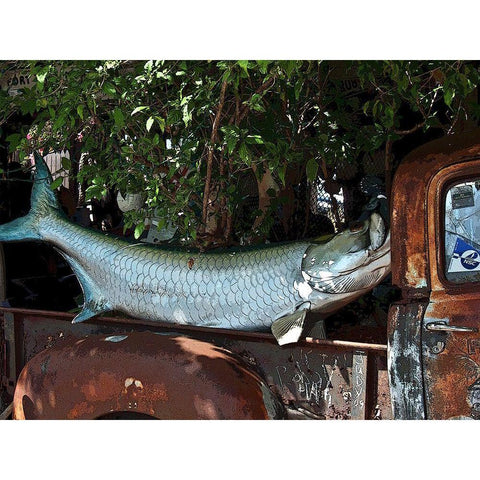 Fish Wagon III Black Modern Wood Framed Art Print with Double Matting by Mack