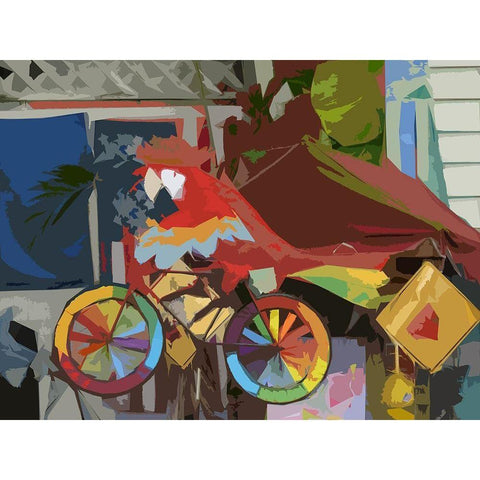 Key West Parrot Black Modern Wood Framed Art Print with Double Matting by Mack