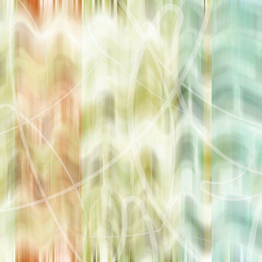 Image Only