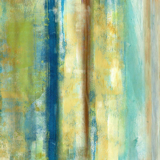 Image Only