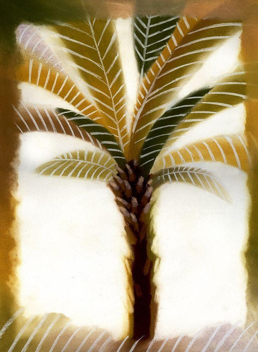 Image Only
