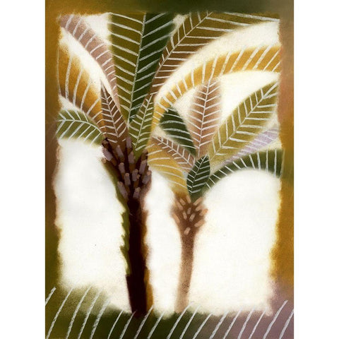 Bahama Breeze II Black Modern Wood Framed Art Print with Double Matting by Scott