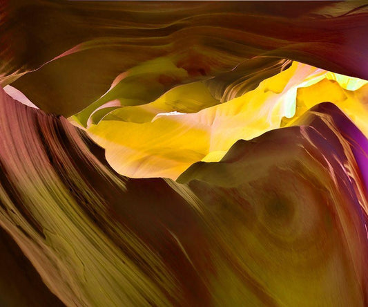 Image Only