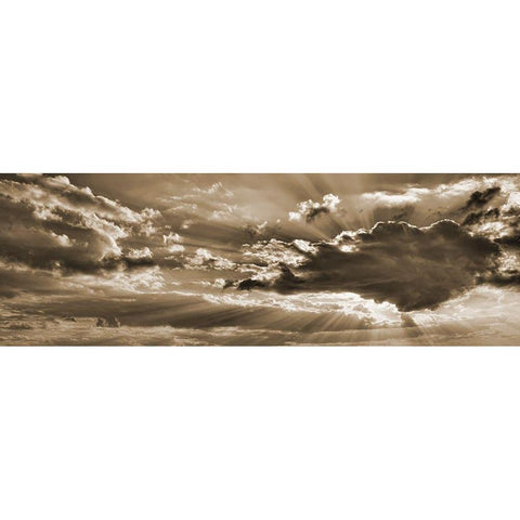 Bronz Sky 2 White Modern Wood Framed Art Print by Phillip, Jamie