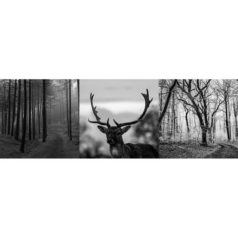 Nature Blend Black Modern Wood Framed Art Print by Phillip, Jamie