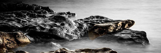 Image Only