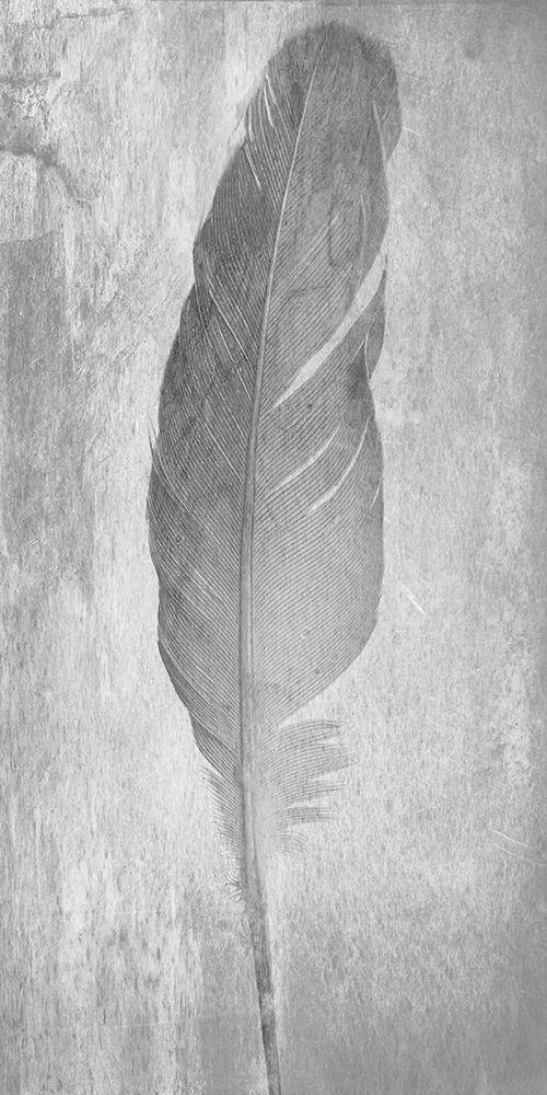 Image Only