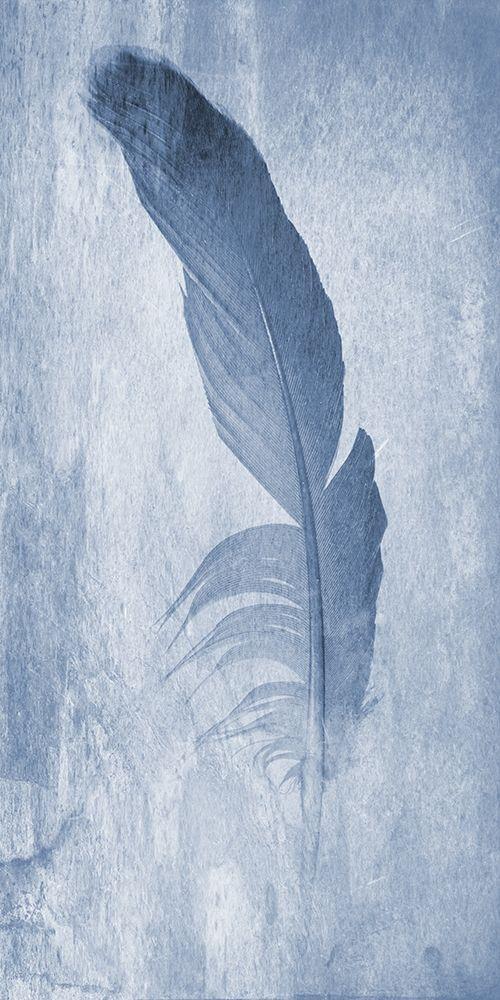 Image Only