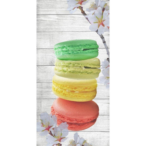 Macaron 1 Black Modern Wood Framed Art Print with Double Matting by Phillip, Jamie