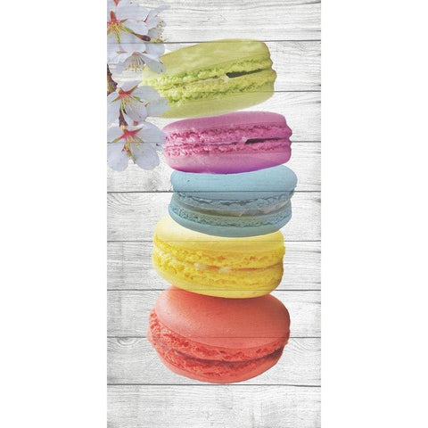 Macaron  Black Modern Wood Framed Art Print with Double Matting by Phillip, Jamie