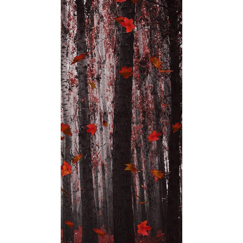 Red Wood Black Modern Wood Framed Art Print by Phillip, Jamie