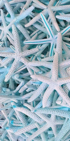 Beach Star 1 White Modern Wood Framed Art Print with Double Matting by Phillip, Jamie