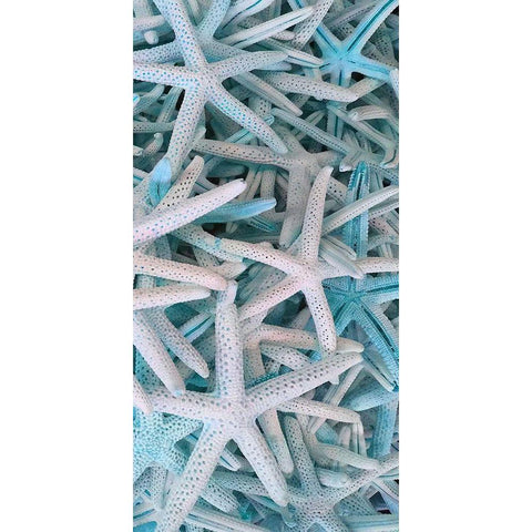 Beach Star  Black Modern Wood Framed Art Print by Phillip, Jamie