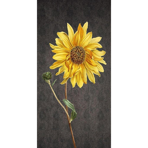 Botanic Gold Ornate Wood Framed Art Print with Double Matting by Phillip, Jamie
