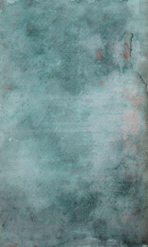 Tropic Teal Black Ornate Wood Framed Art Print with Double Matting by Phillip, Jamie