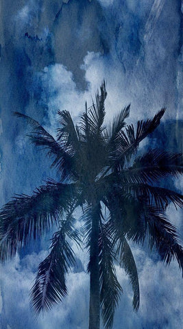 Blue Paradise White Modern Wood Framed Art Print with Double Matting by Phillip, Jamie