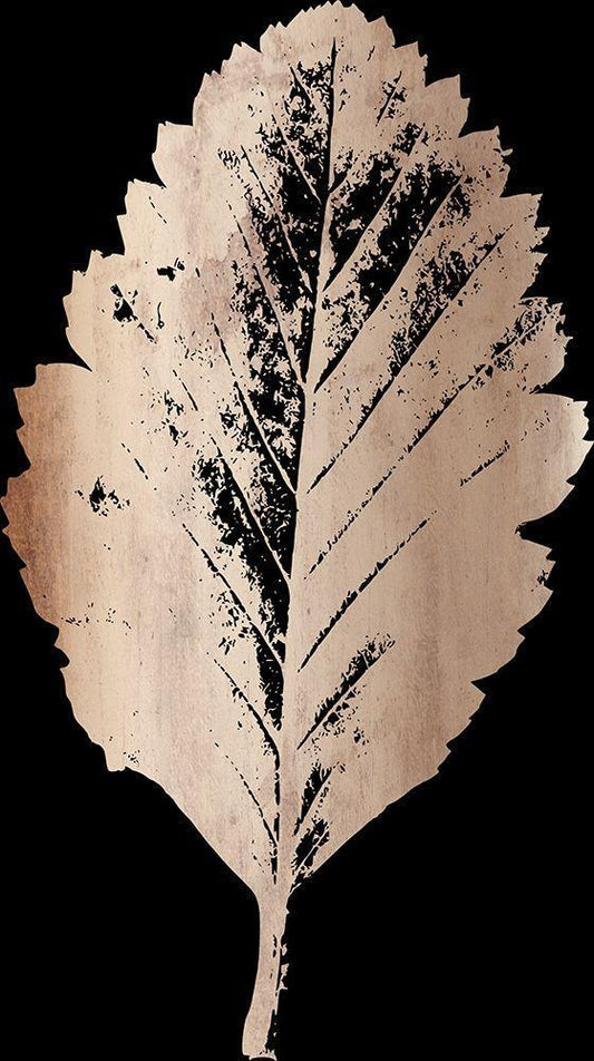 Image Only