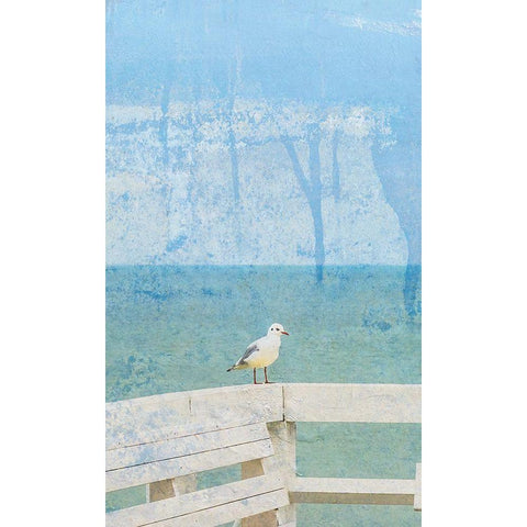 Bird Bay White Modern Wood Framed Art Print by Phillip, Jamie