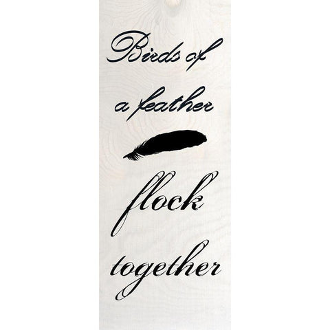Birds Of A Feather Black Modern Wood Framed Art Print with Double Matting by Phillip, Jamie