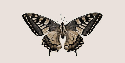 Image Only