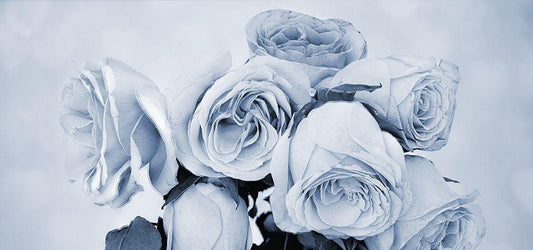 Image Only