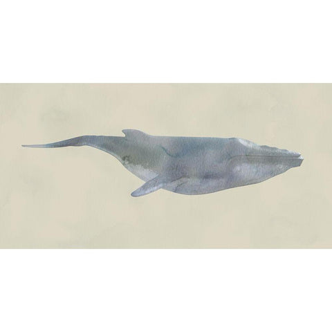 Whale Whale Whale ! White Modern Wood Framed Art Print by Phillip, Jamie