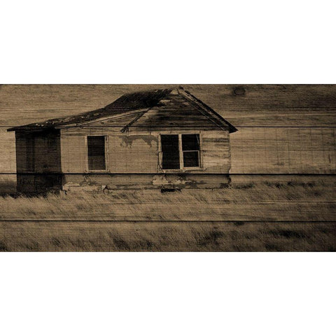Bayou White Modern Wood Framed Art Print by Phillip, Jamie