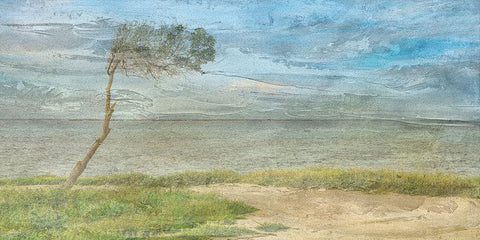 Coast To Coast 2 Black Ornate Wood Framed Art Print with Double Matting by Phillip, Jamie