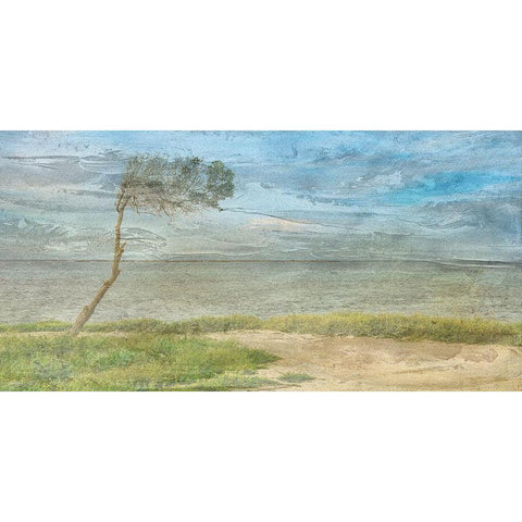 Coast To Coast 2 Gold Ornate Wood Framed Art Print with Double Matting by Phillip, Jamie