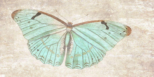Image Only
