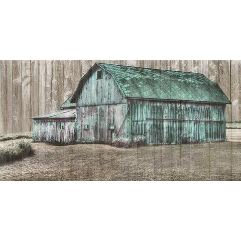 Barn Life White Modern Wood Framed Art Print by Phillip, Jamie