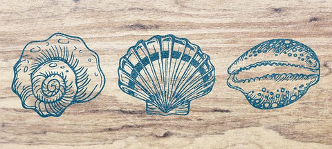 Coastal life Black Ornate Wood Framed Art Print with Double Matting by Phillip, Jamie