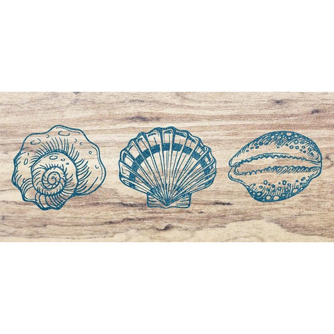 Coastal life Black Modern Wood Framed Art Print with Double Matting by Phillip, Jamie