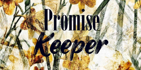 Promise Keeper White Modern Wood Framed Art Print with Double Matting by Phillip, Jamie