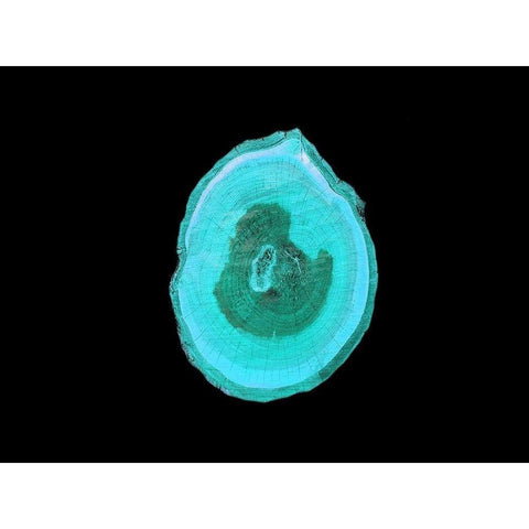 Wood Rings 3 Gold Ornate Wood Framed Art Print with Double Matting by Phillip, Jamie