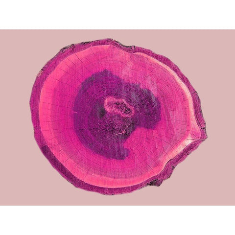 Wood Rings 4 White Modern Wood Framed Art Print by Phillip, Jamie