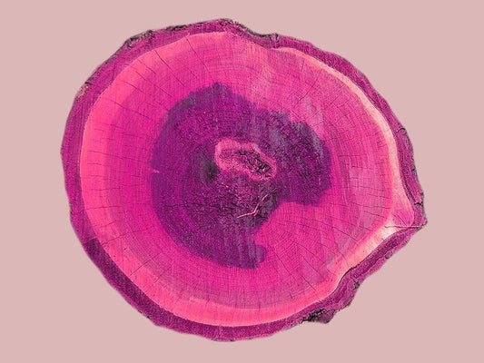 Image Only
