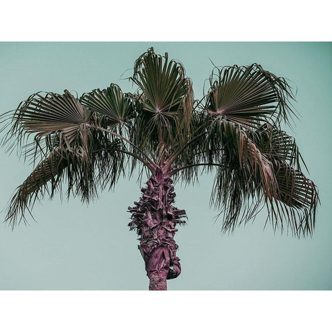 Cocoloco Gold Ornate Wood Framed Art Print with Double Matting by Phillip, Jamie