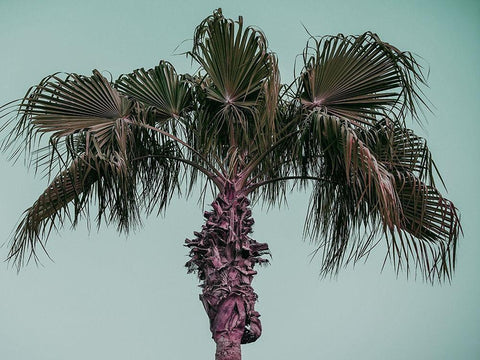 Cocoloco White Modern Wood Framed Art Print with Double Matting by Phillip, Jamie