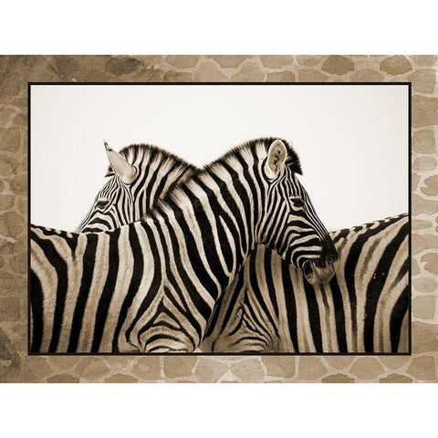 Zebras Gold Ornate Wood Framed Art Print with Double Matting by Phillip, Jamie